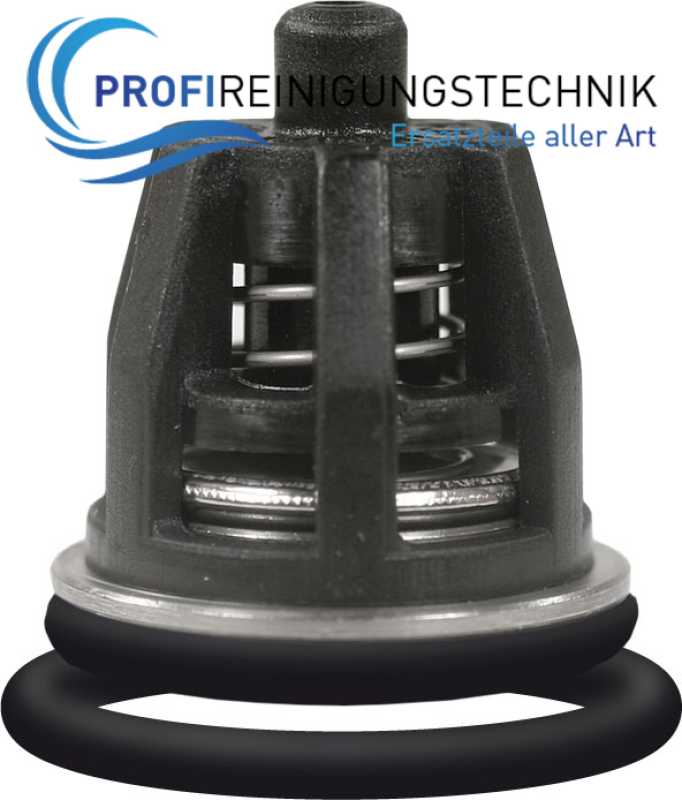 Ventile 6 Stück, für Comet Hochdruckpumpe Premium